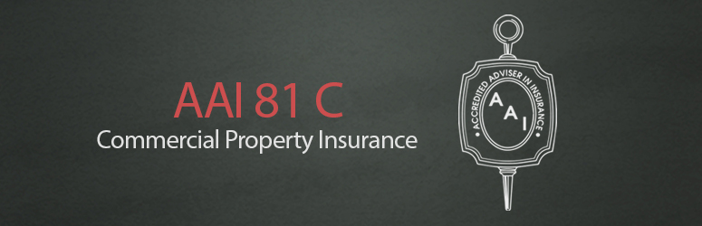 AAI 81 C Commercial Property Insurance