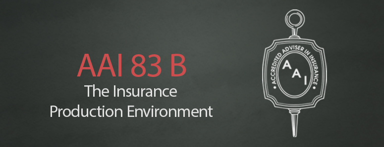 AAI 83 B The Insurance Production Environment